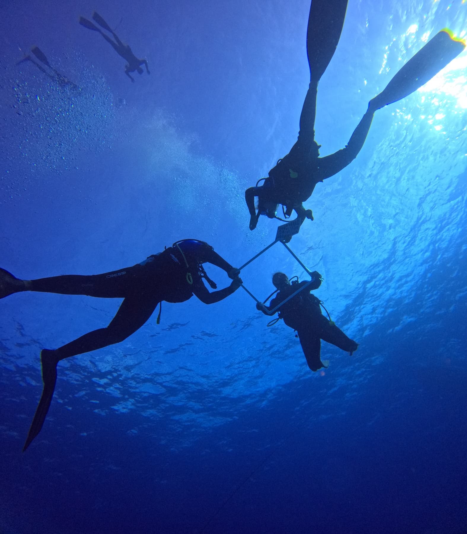 Hands-On Reef Conservation