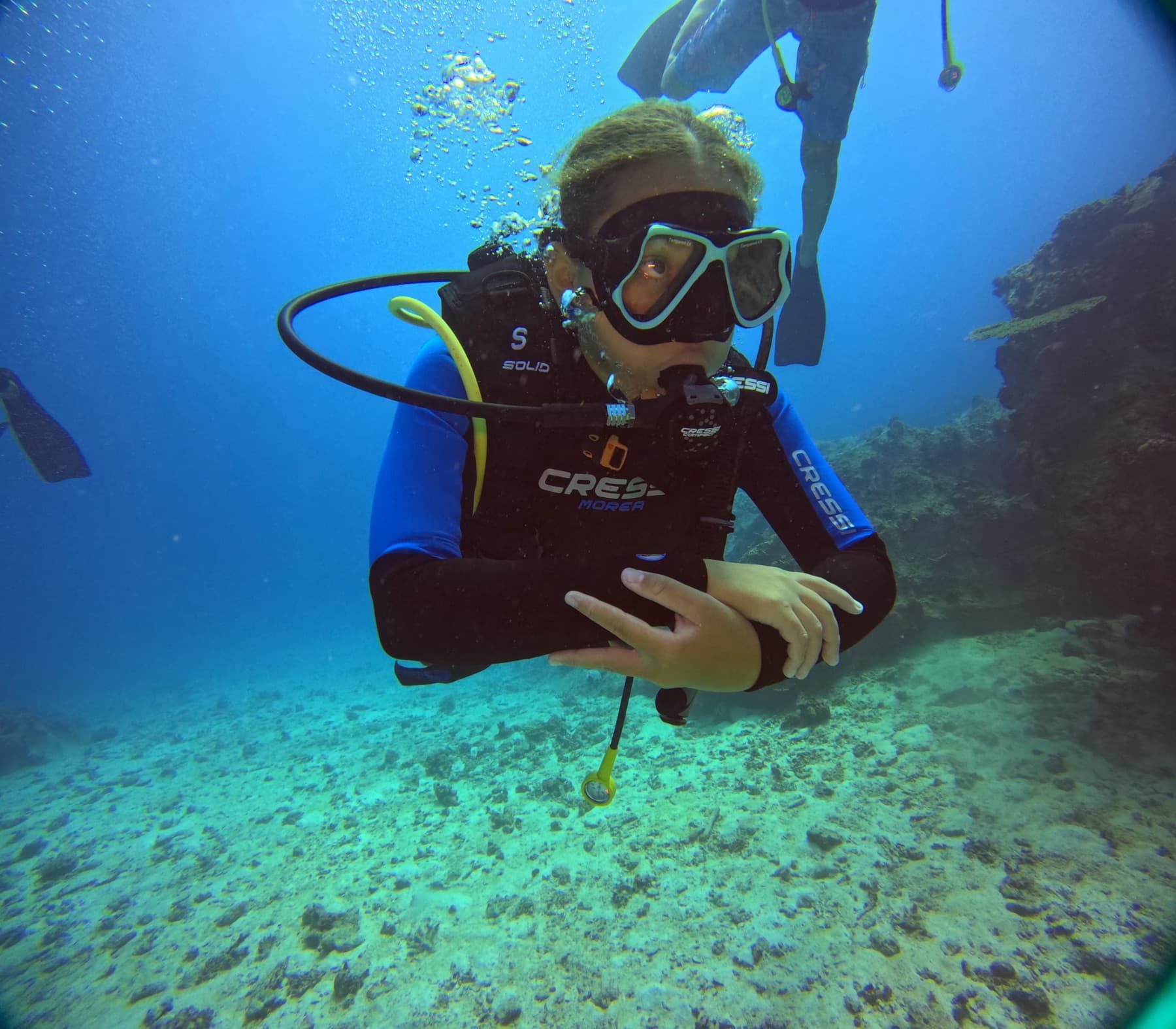 Coral monitoring during S.T.O.P reef fieldwork in Praslin, Seychelles
